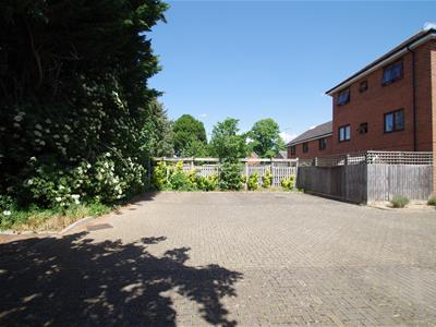 Picture 9